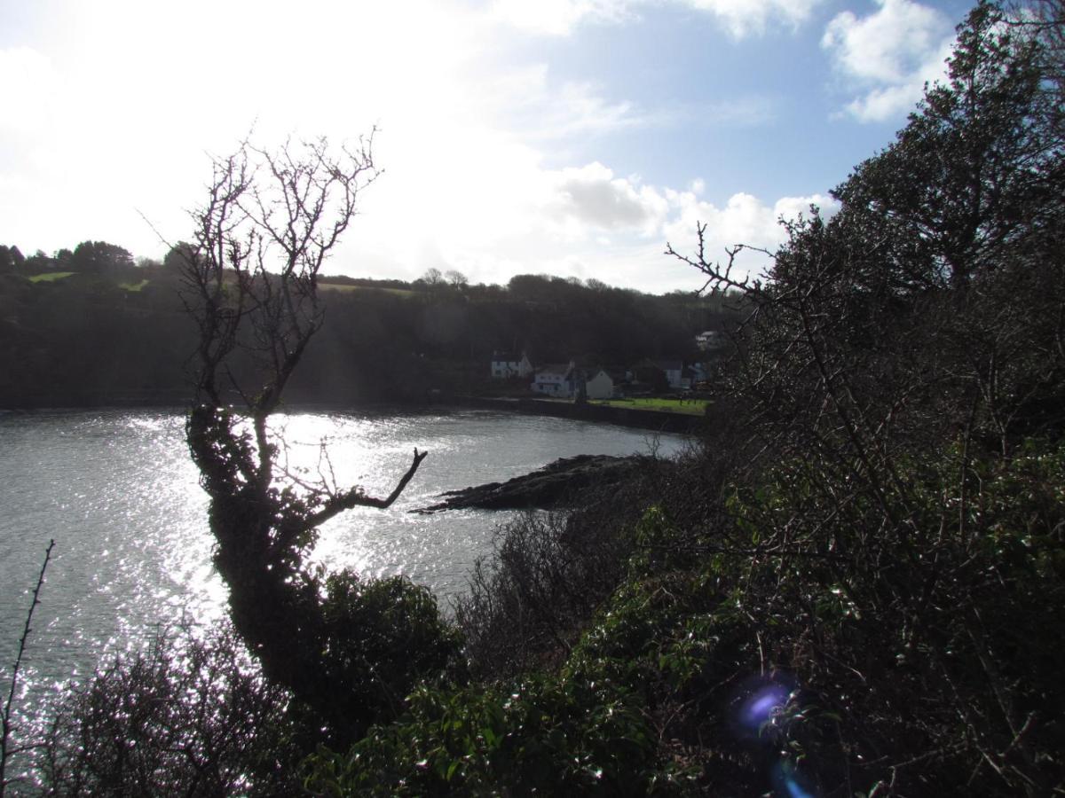 Ty Nain, Newport, Pembrokeshire Villa Newport  Exterior photo